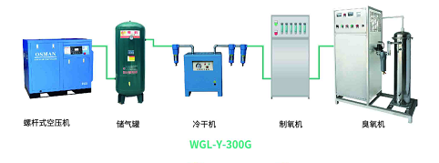 氧氣源300G